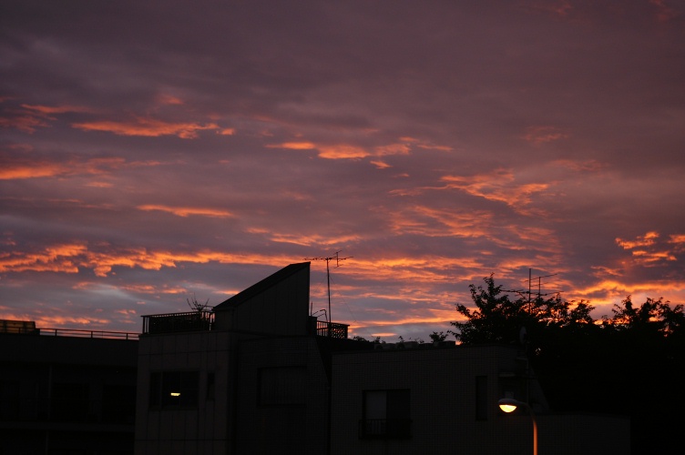b0160184_2284550.jpg