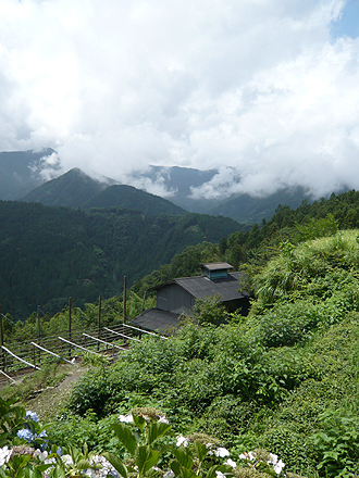 e0066586_2035860.jpg