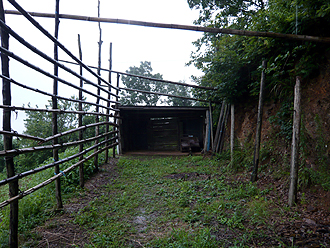 e0066586_2051565.jpg