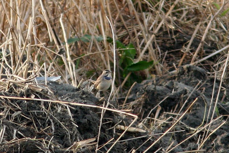f0022486_23364953.jpg
