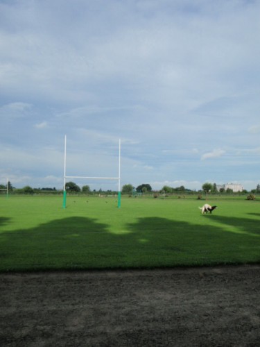 d0113189_109565.jpg