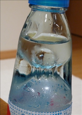 a0133493_13414568.jpg