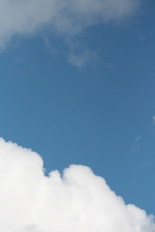 d0133693_0143779.jpg