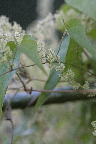 d0133693_0155813.jpg