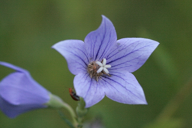 d0133693_0161320.jpg