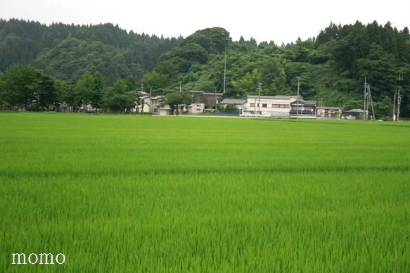 f0088197_041252.jpg