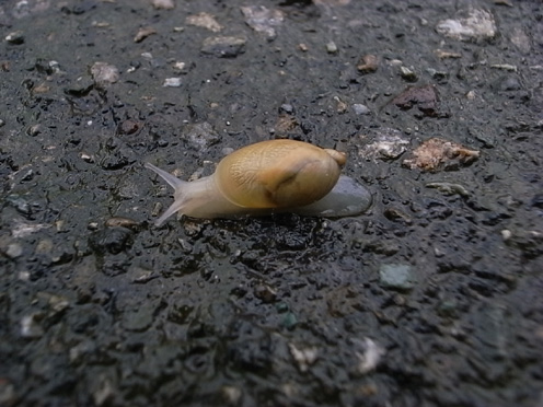 e0043700_21105110.jpg