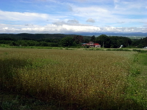 e0043700_21113685.jpg