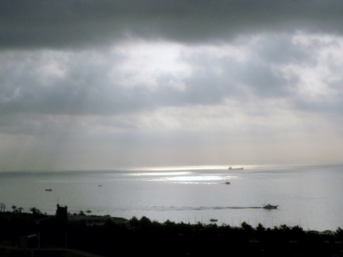 d0057701_841947.jpg