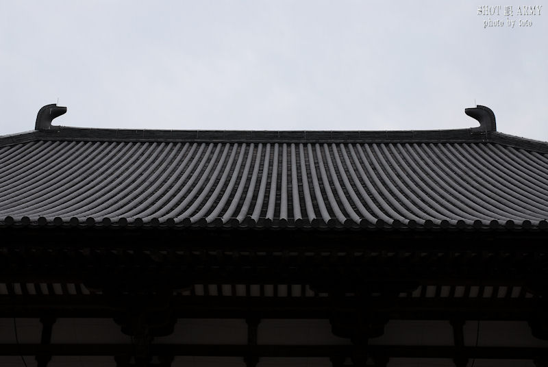 d0085501_7593249.jpg