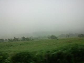 c0126205_11253383.jpg