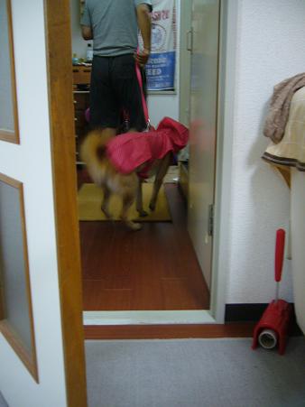 c0182706_17495399.jpg