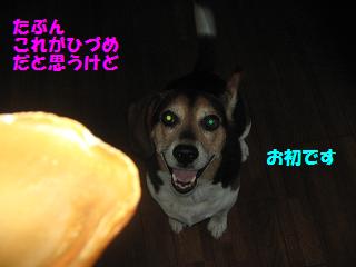 d0104209_17345818.jpg