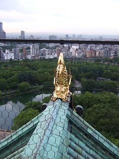 f0129610_17114032.jpg