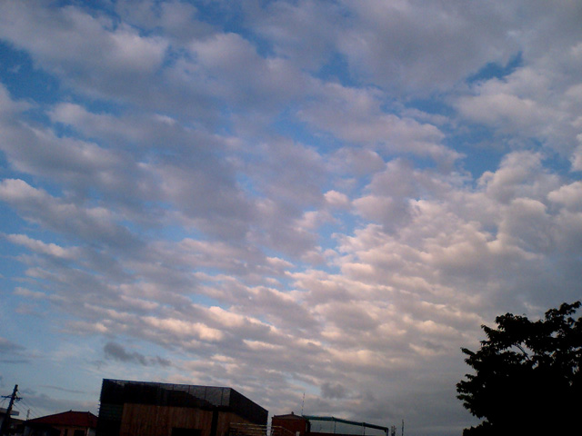 a0101715_1432472.jpg