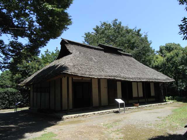 e0049318_0512879.jpg