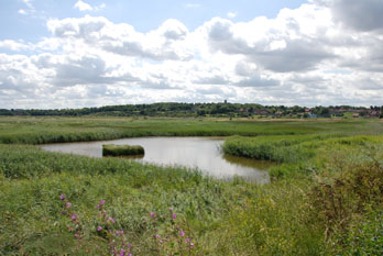 c0178022_20472310.jpg