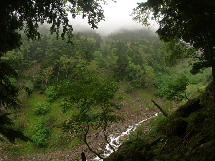 d0090322_1555422.jpg