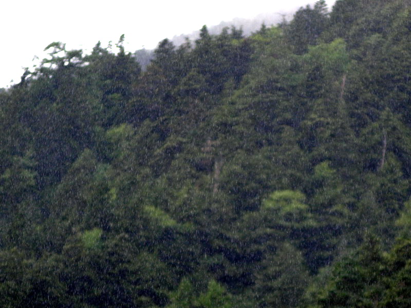 d0090322_1584921.jpg