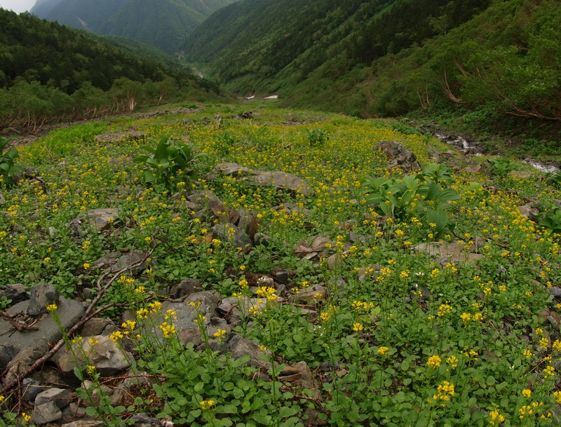 d0090322_23228.jpg