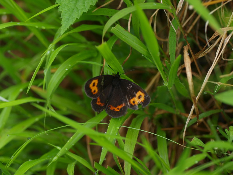 d0090322_233619.jpg