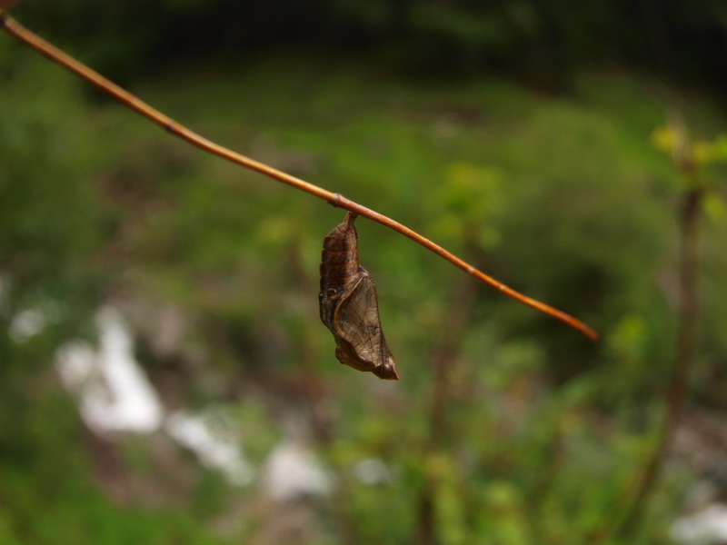 d0090322_234954.jpg