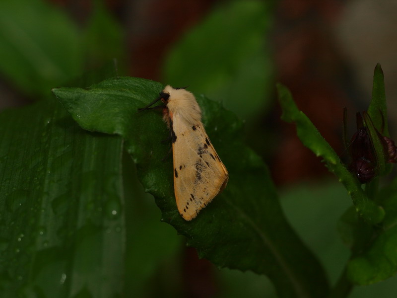 d0090322_241698.jpg