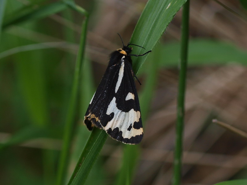 d0090322_24251.jpg