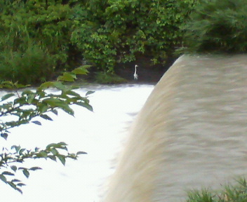 f0036223_8333935.jpg