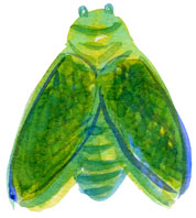 f0135024_20453077.jpg