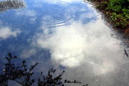 f0137324_2213411.jpg