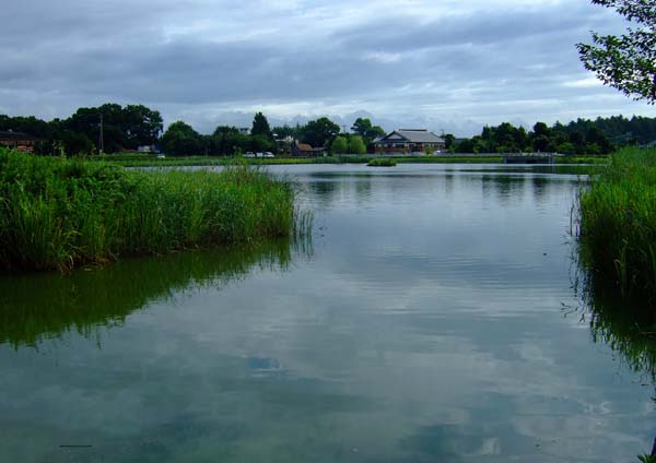 f0147025_203727.jpg