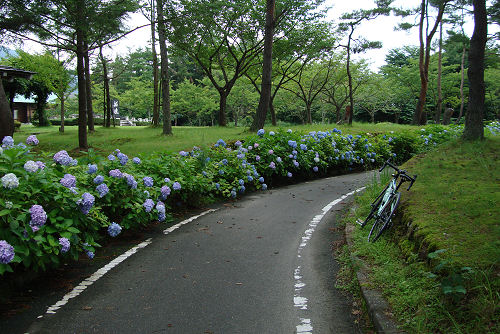 f0007926_18442557.jpg
