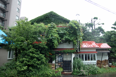 e0064128_2246562.jpg