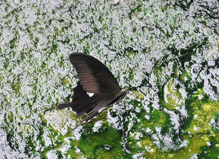 a0126632_20274430.jpg