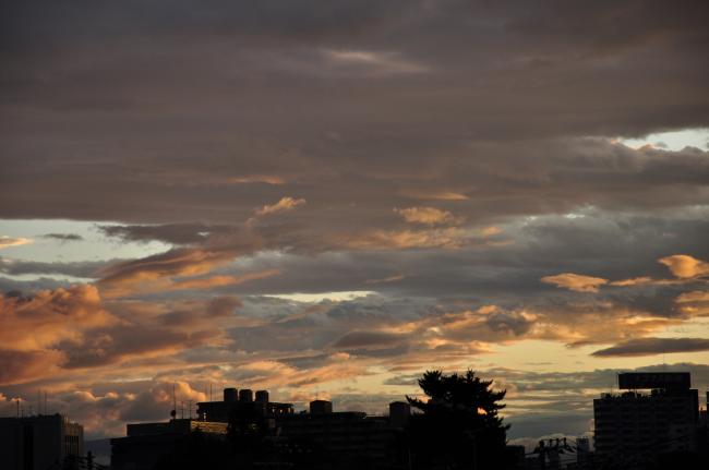 c0133533_20111317.jpg