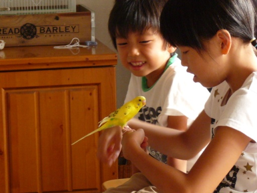 c0100534_9101258.jpg