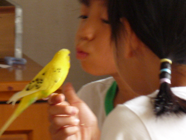c0100534_9103142.jpg