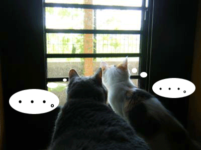 f0008935_16402121.gif