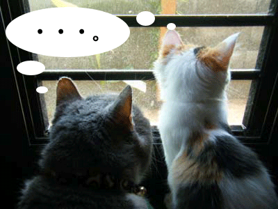 f0008935_1640647.gif