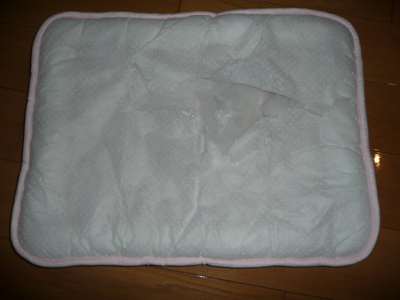 e0169243_535566.jpg