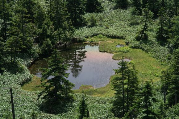 e0007544_1134010.jpg