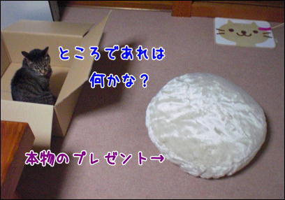 d0139352_0341038.jpg
