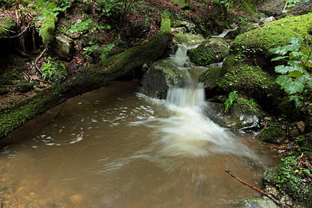 e0113053_23182468.jpg