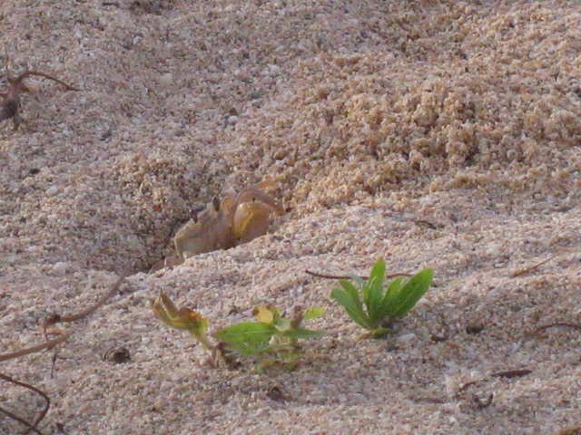f0183656_22483661.jpg