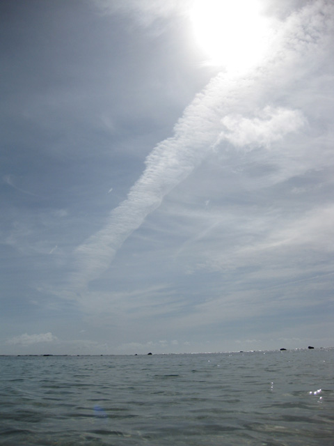 f0183656_22484396.jpg