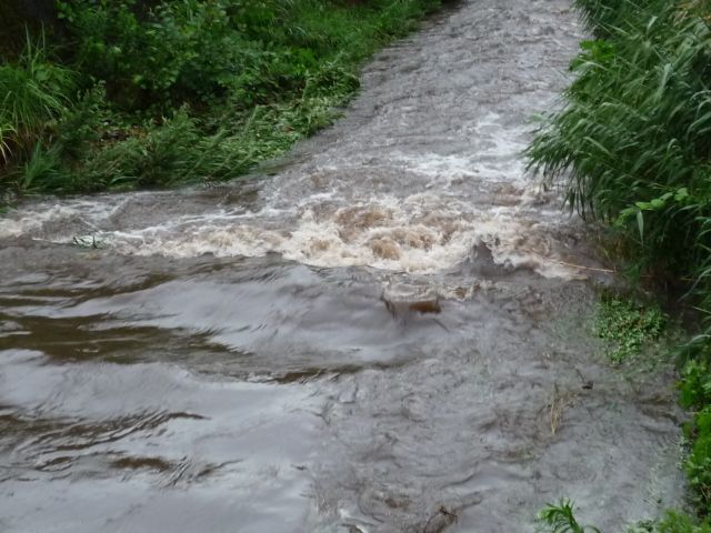 b0141664_0193264.jpg