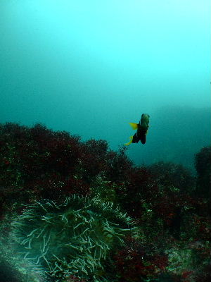 d0102664_23573318.jpg