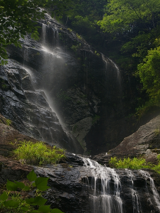 c0185066_23372616.jpg