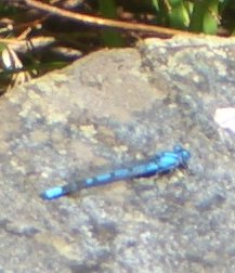 e0098066_6151044.jpg